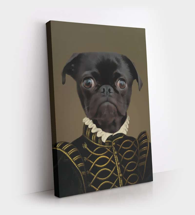 Dog Portrait Dog Portrait