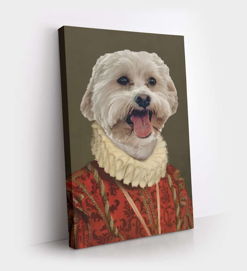 Renaissance Pet Portraits Renaissance Pet Portraits