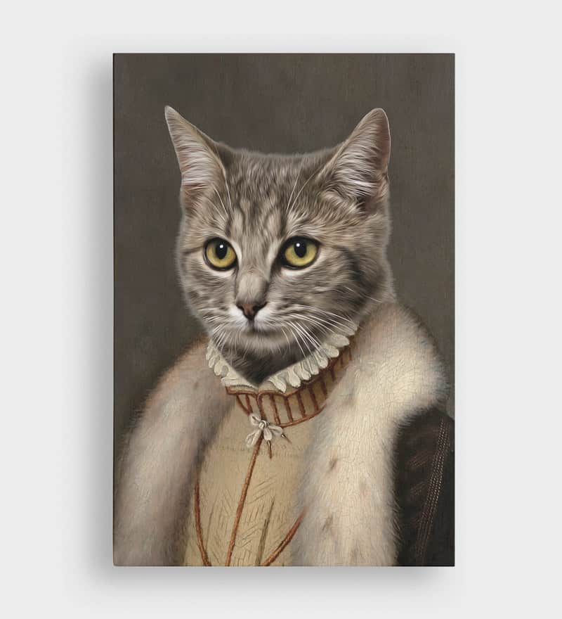 Cat Portraits