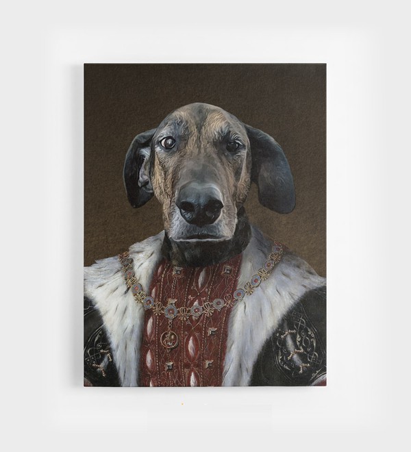 Funny-Dog-Portraits-Example-2 Funny-Dog-Portraits-Example-2