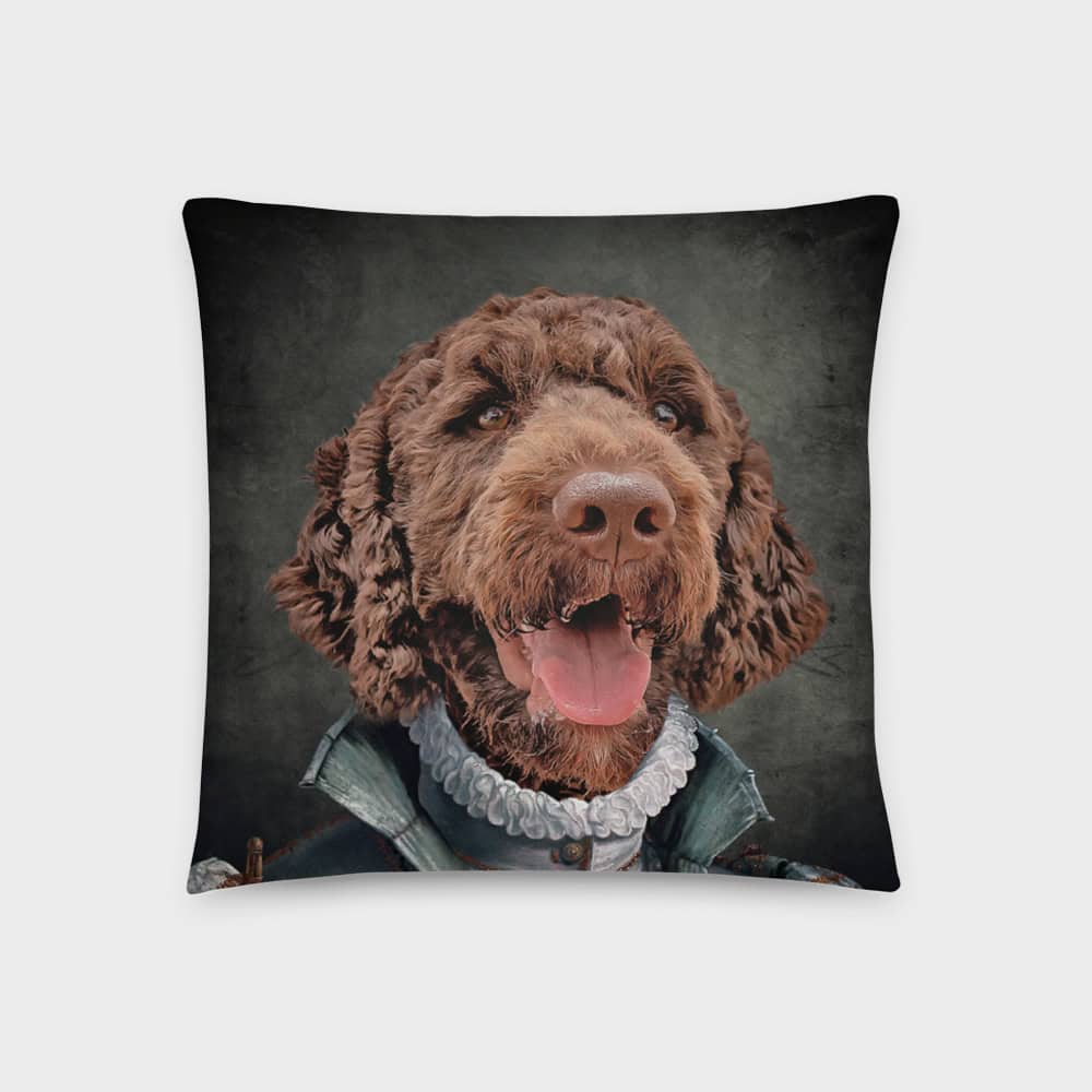 make your pet into a pillow